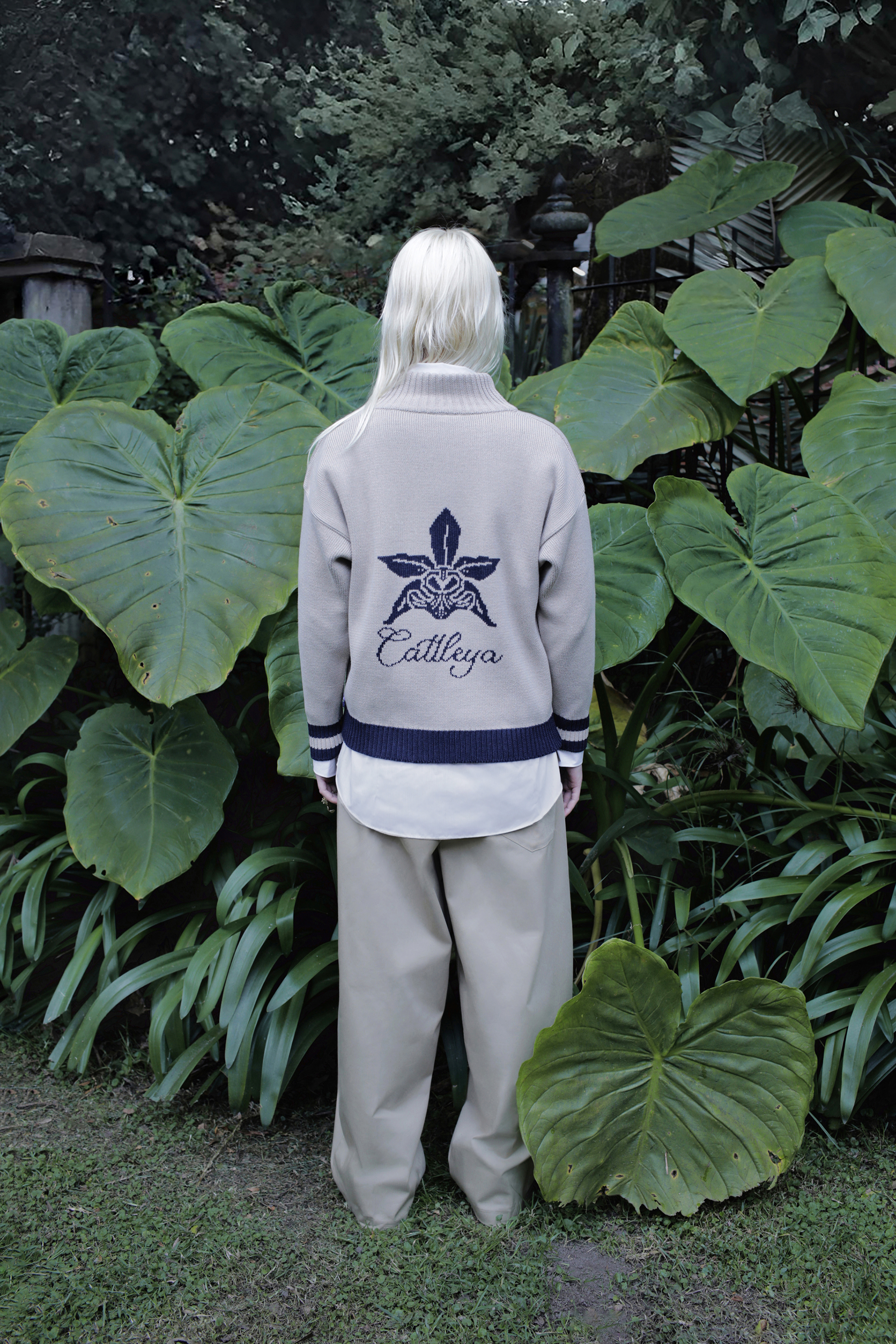 JERSEY CATTLEYA AZUL